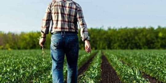 Farm & Crop Insurance Texas