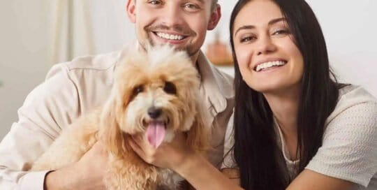 Homeowners Insurance Texas