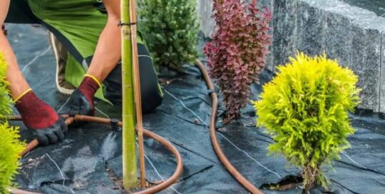 Landscaping Insurance Texas