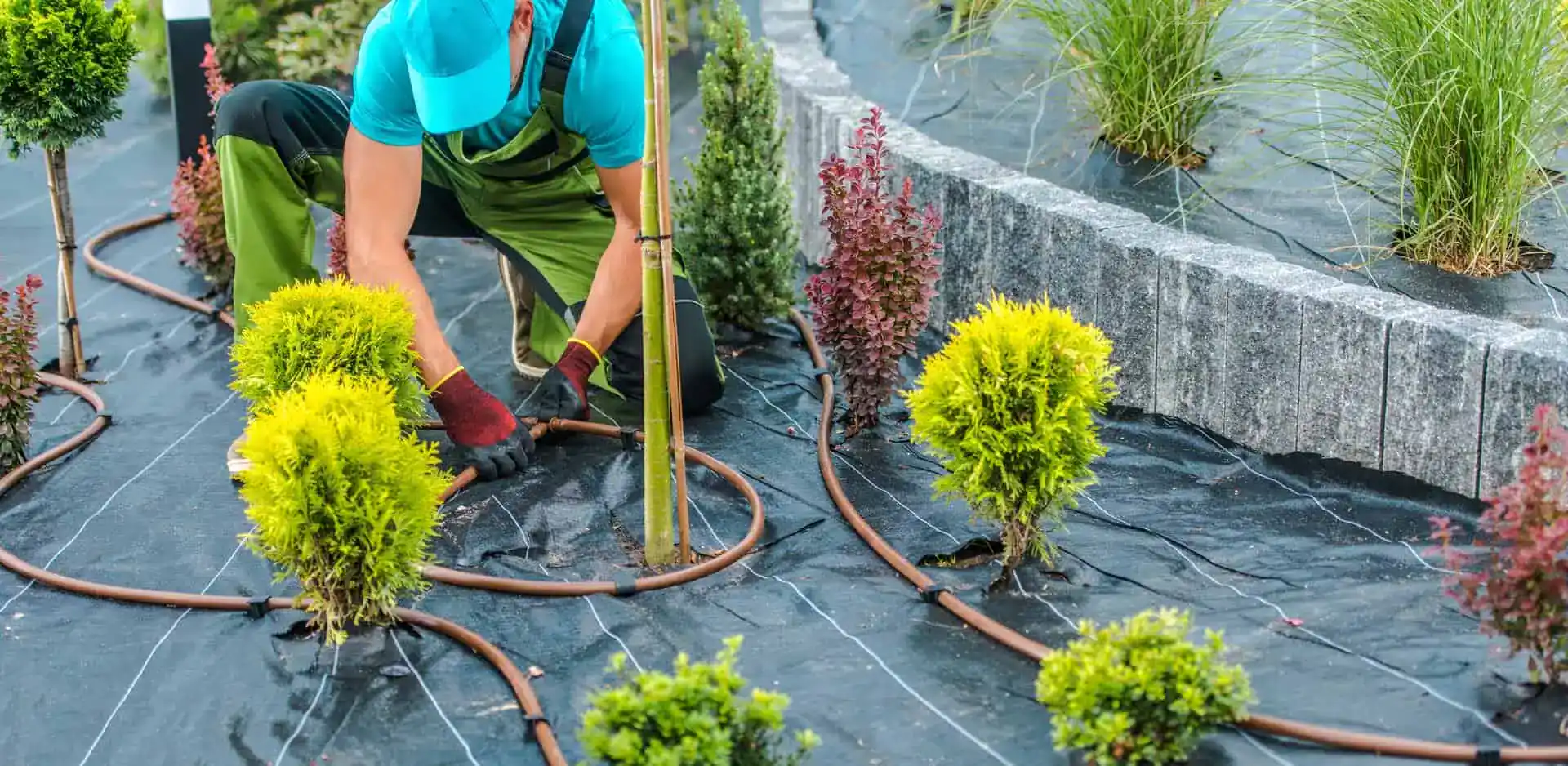 Landscaping Insurance Texas