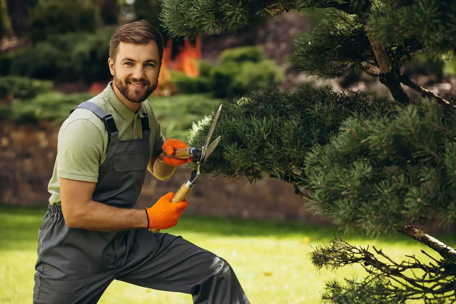 Landscaping Insurance Texas